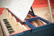 Viola organista?s world premiere, Cracow Piano Festival, 2013